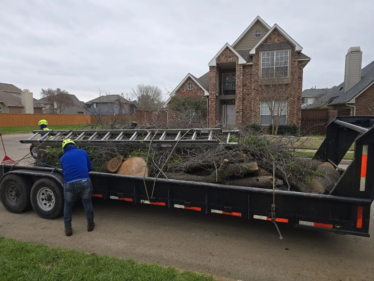 Expert Lot Clearing with proper safety equipment in Lakeside